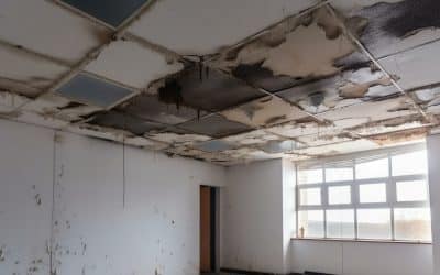 8 Common Causes of Commercial Water Damage